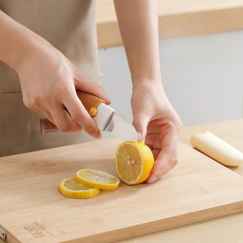 Descascador e Faca Multifuncional Para Frutas e Legumes Aço Inox Techguia - Techguia